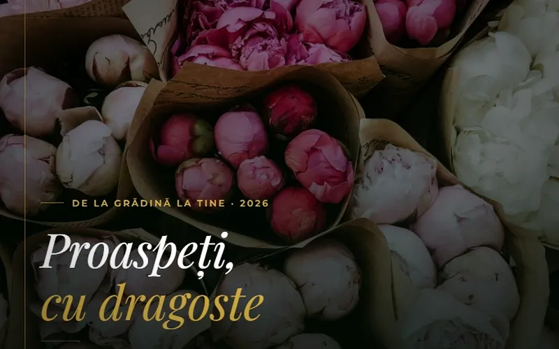 Buchete de Bujori: Ghidul Complet al Sezonului (Mai–Iunie 2026)