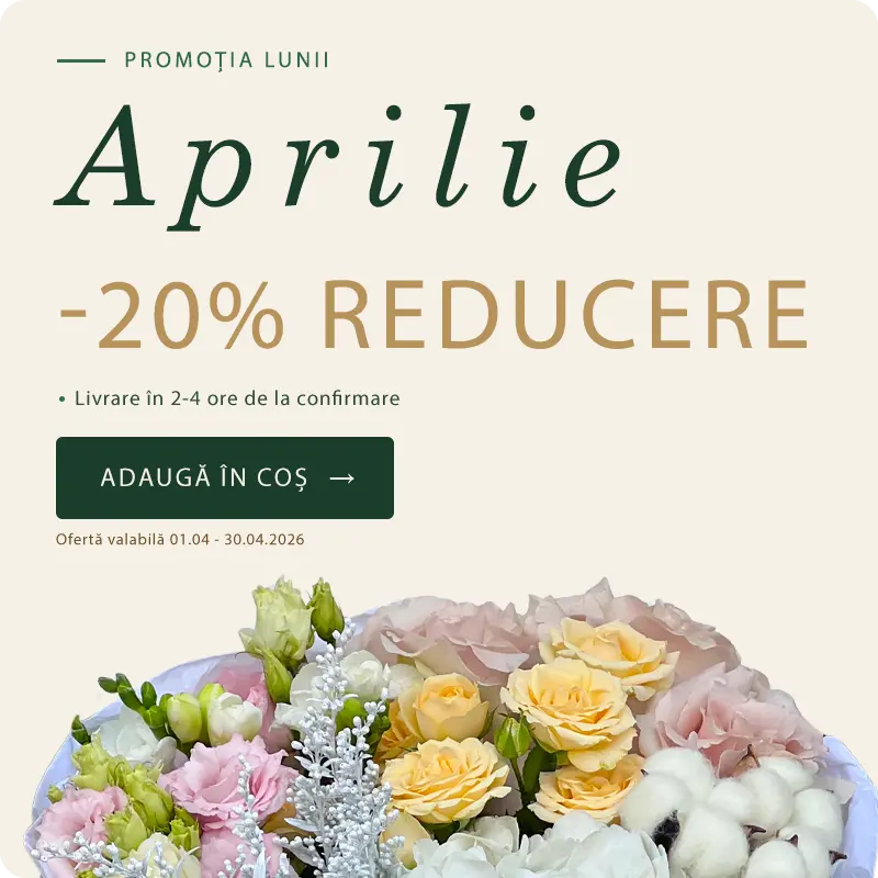 Buchet Blush Promotia Lunii Aprilie — Florarie Fleurange Baia Mare