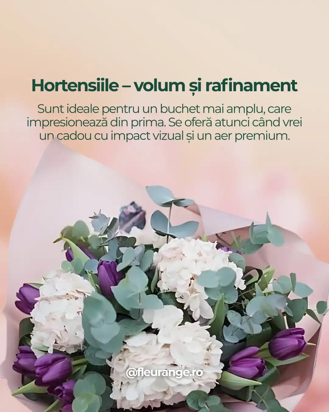 Buchet hortensii albe cu lalele mov si eucalipt — aranjament floral 8 Martie Fleurange