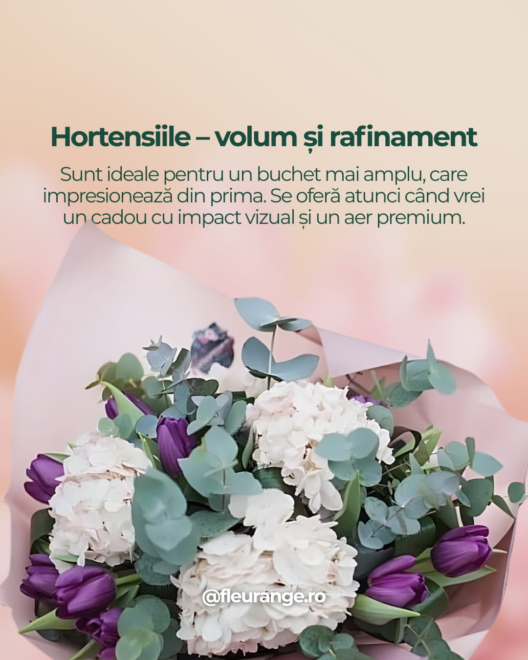 Buchet hortensii albe cu lalele mov și eucalipt - aranjament floral Fleurange Baia Mare