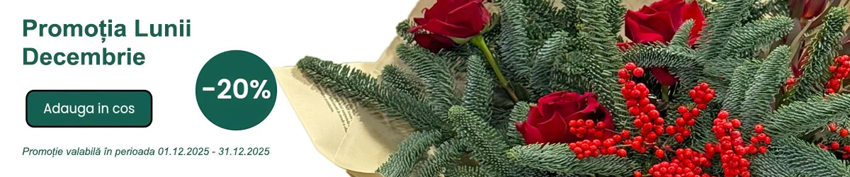 buchet-decembrie-fleurange-iarna