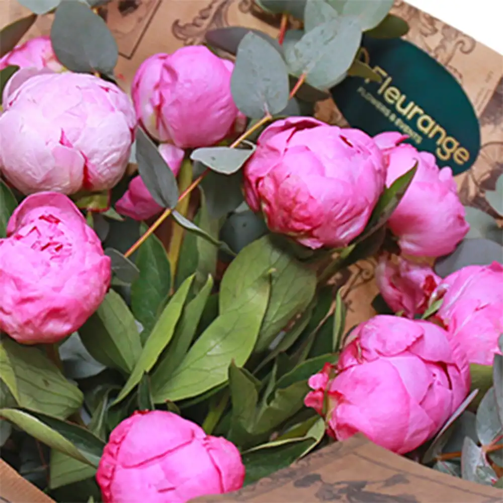 Buchet 13 Bujori Roz și Eucalipt – Bujori Roz cu Eucalipt Cinerea, Fleurange Baia Mare [2]