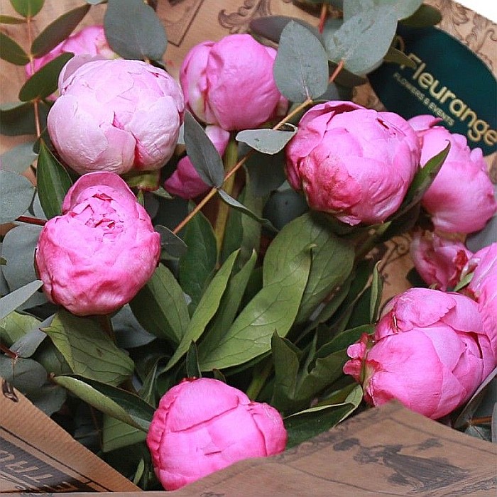 Buchet cu 11 bujori roz proaspeți – livrare rapidă Baia Mare Fleurange [2]
