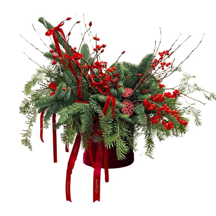 Aranjament Bradul Mosului [1]