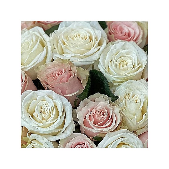 Aranjament floral cu 40 trandafiri roz și albi în cutie rotundă – Fleurange [2]