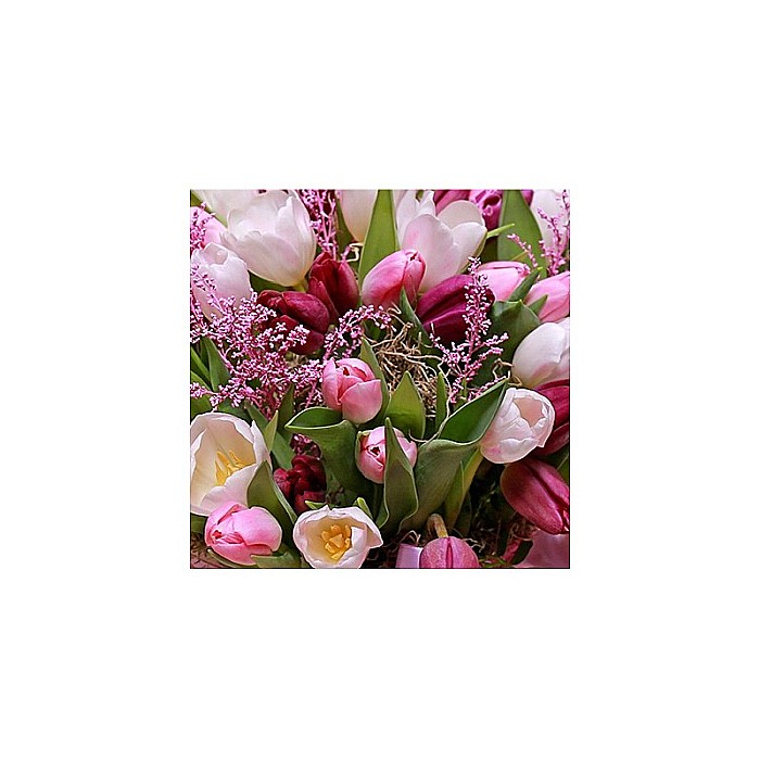 Aranjament cu 50 Lalele [2]