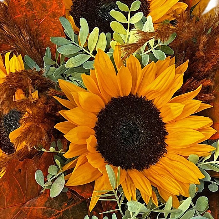 Aranjament cu floarea-soarelui în cutie catifea – Fleurange [2]
