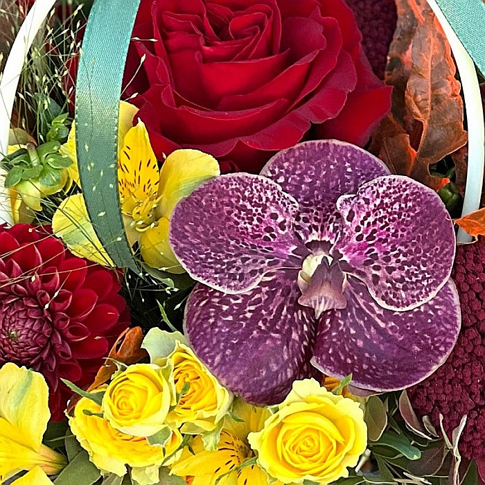 Aranjament Floral de Toamnă cu Dahlia, Vanda și Mini Rosa | Fleurange.ro [2]