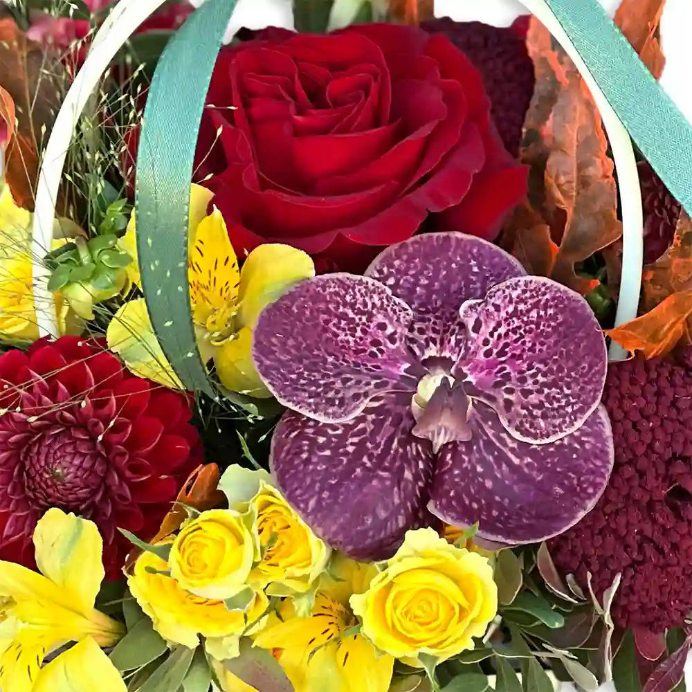 Aranjament Bucuria Toamnei cu dalii, orhidee vanda si crini peruvieni in posetuta – Fleurange Baia Mare [2]