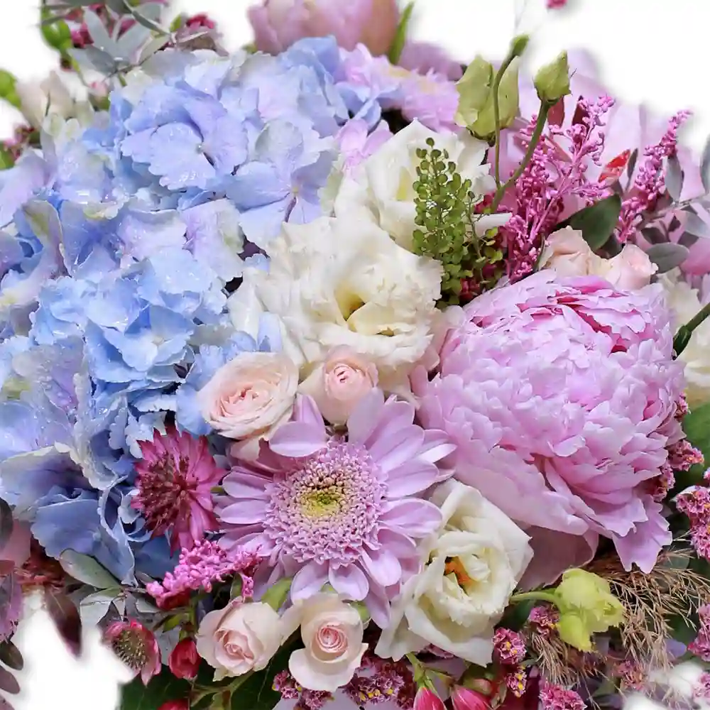 Aranjament Cover Me In Flowers – hortensia, bujori, lalele pastel, Fleurange Baia Mare [2]