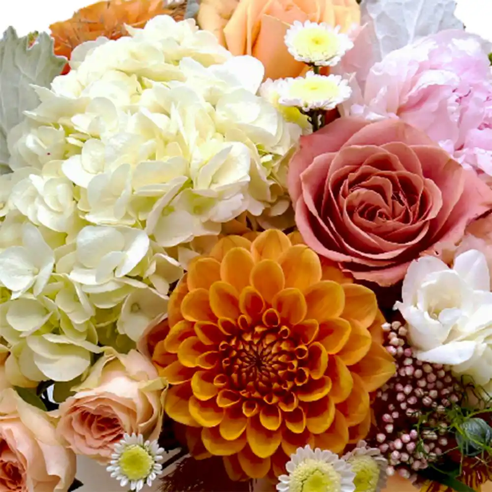 Aranjament Delicat – frezii, dahlia, hortensia, trandafiri, Fleurange Baia Mare [2]