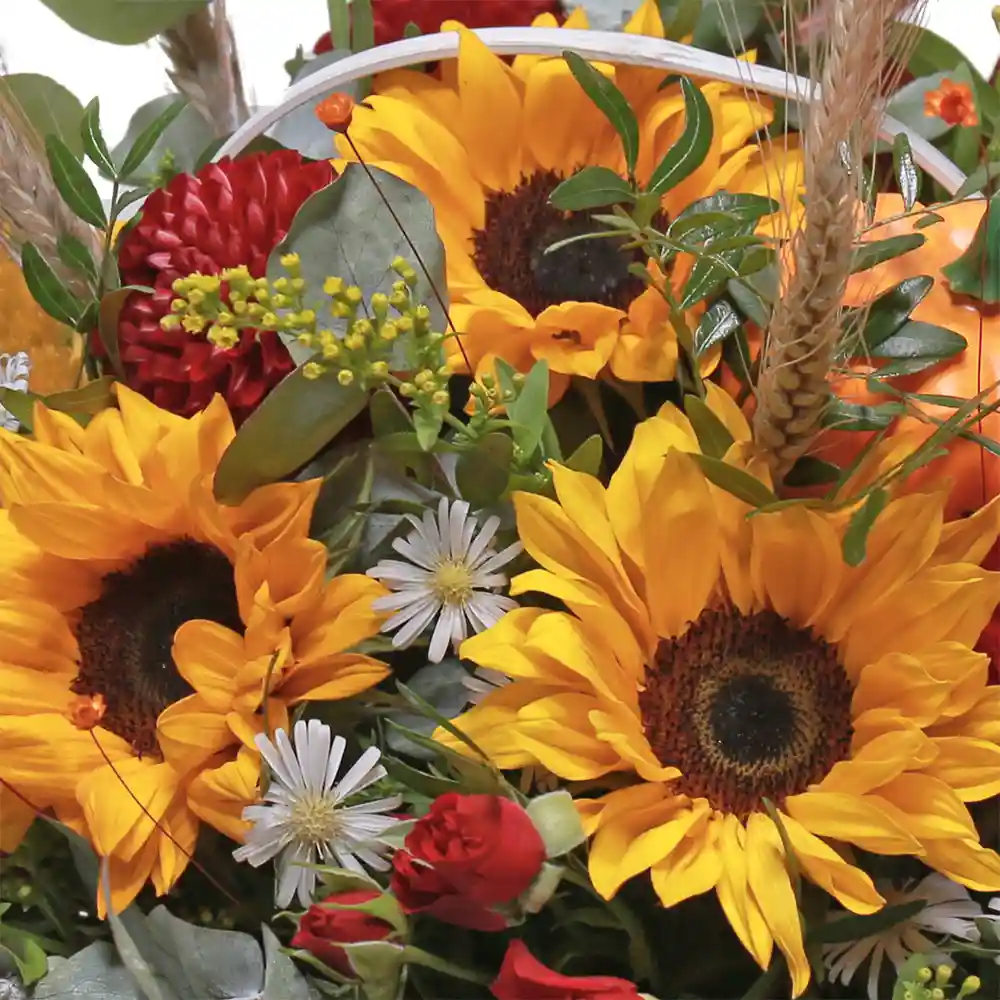 Cos Simfonie de Toamna – floarea-soarelui, dahlia, trandafiri, spice de grau, Fleurange Baia Mare [2]