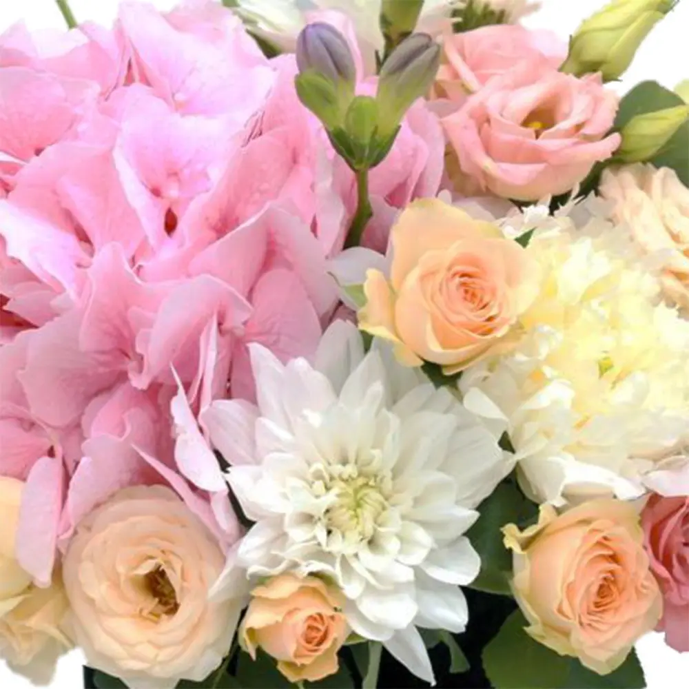 Aranjament Flower Power – hortensia, lisianthus, frezii, garofite, Fleurange Baia Mare [2]