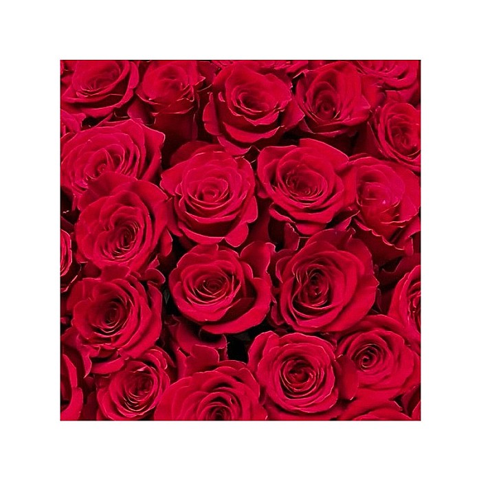 Buchet 101 Trandafiri Roșii 70cm – Declarație Impresionantă de Dragoste [2]