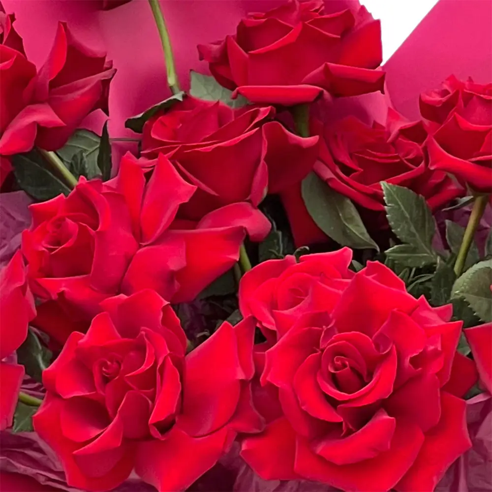 Buchet 17 Trandafiri Roșii – Roșii Proaspeți Petalati, Fleurange Baia Mare [3]