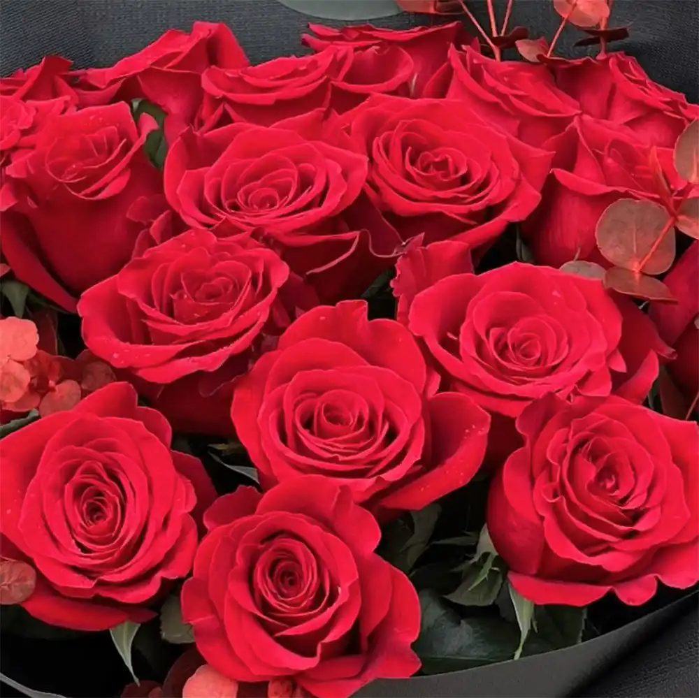 Buchet 19 Trandafiri Rosii si Eucalipt – Fleurange Baia Mare [2]