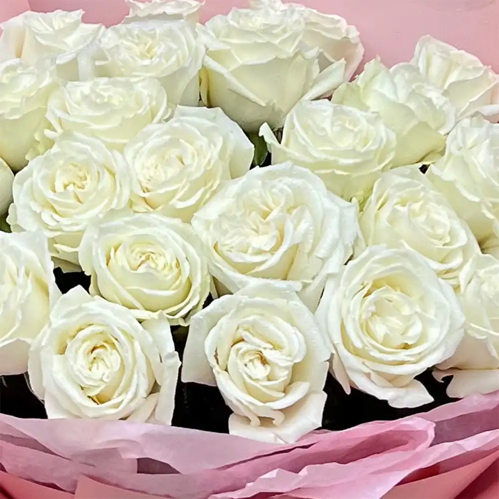 Buchet 25 Trandafiri Albi – Puritate și Eleganță – Fleurange.ro [3]