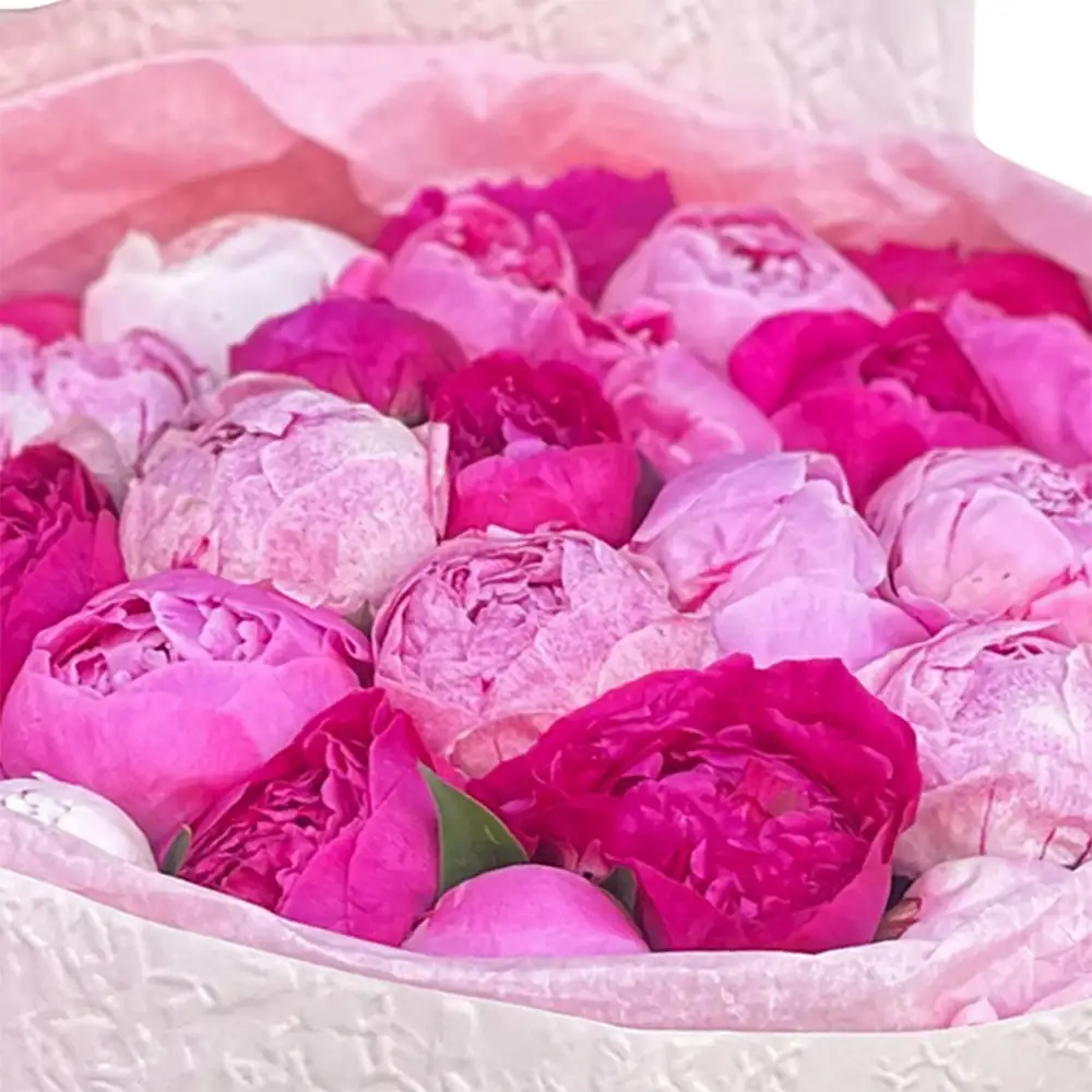 Buchet 31 Bujori Roz – bujori roz parfumați, Fleurange Baia Mare [2]
