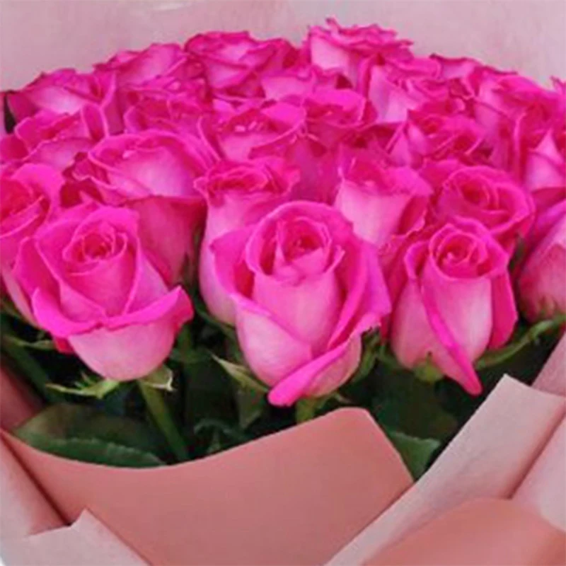 Buchet 35 Trandafiri Roz – Roz-Candy Proaspeți Rotund, Fleurange Baia Mare [2]