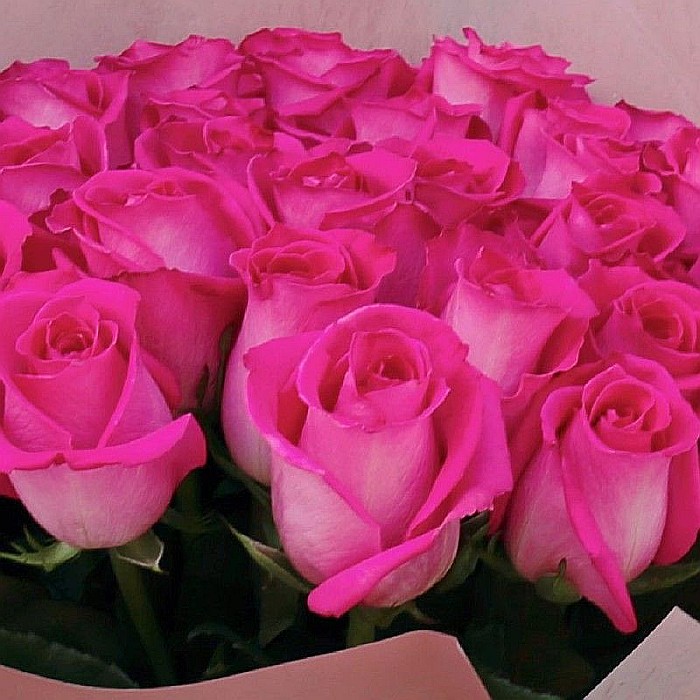Buchet 35 Trandafiri Roz – Flori proaspete și elegante Fleurange.ro [2]