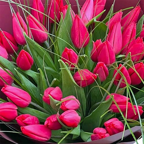 Buchet de 40 lalele rosii [2]