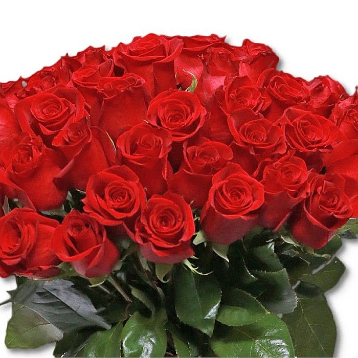 Buchet 40 Trandafiri Roșii – Buchet Generos de Trandafiri Roșii [2]