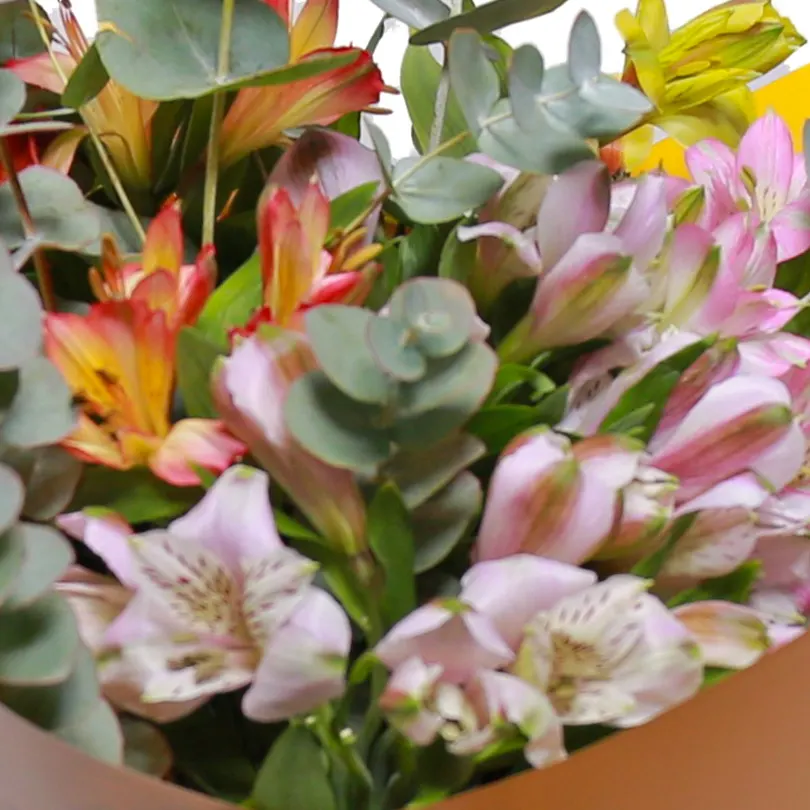 Buchet Alstroemeria Color – Crini Peruvieni Multicolor, Fleurange Baia Mare [2]