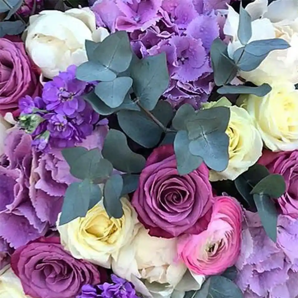 Buchet Carla – hortensii, matthiola, trandafiri, bujori și ranunculus mov, alb și roz, Fleurange Baia Mare [2]
