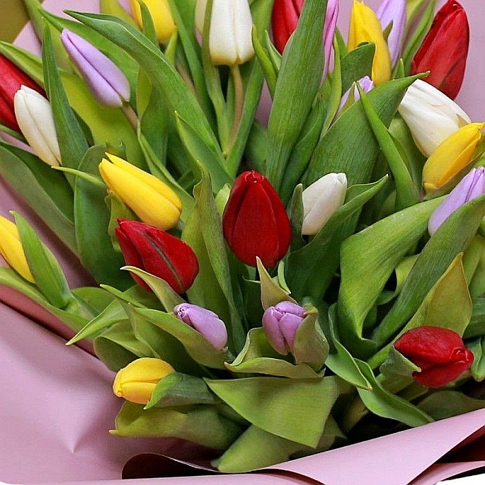 Buchet cu 29 de lalele multicolore [2]