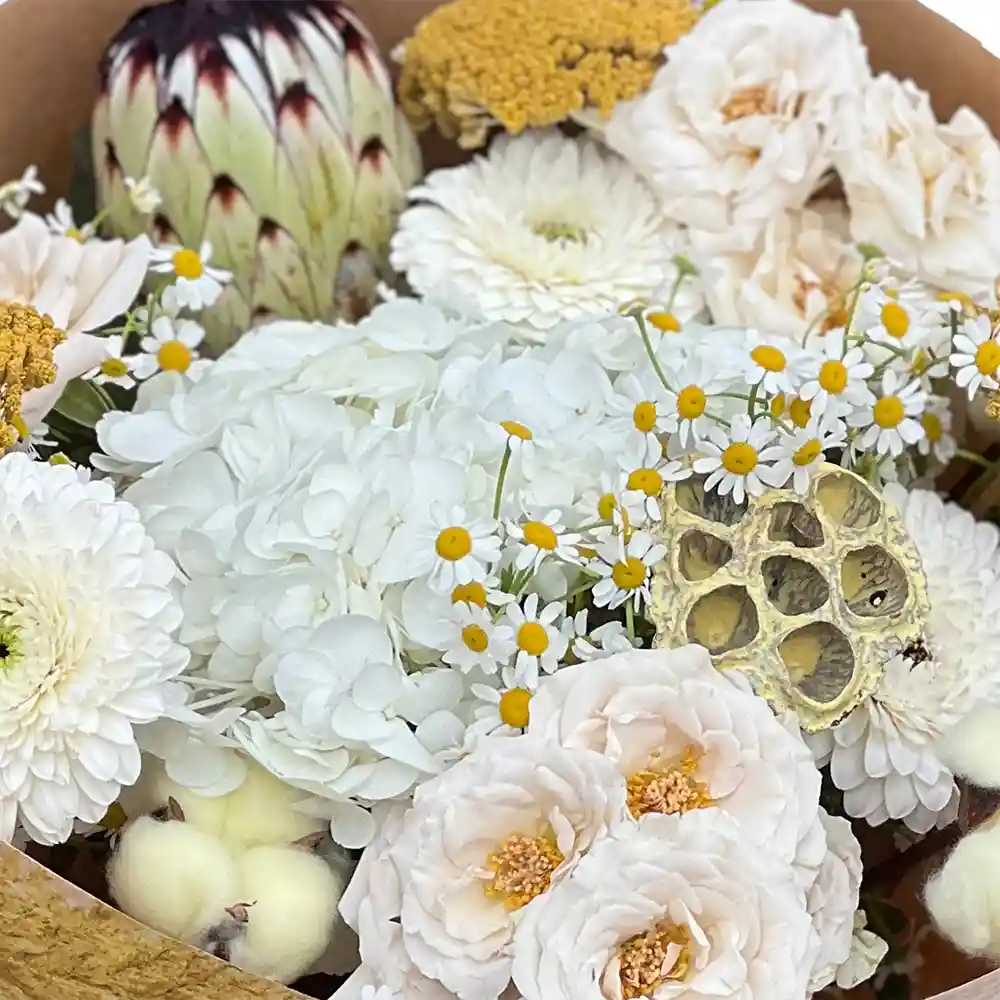 Buchet Flori Albe și Galbene – protea, hortensia, germini, Fleurange Baia Mare [2]