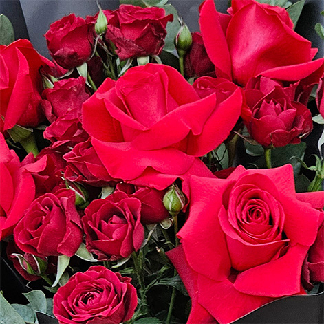 buchet din tranadafiri si mini rosa [2]