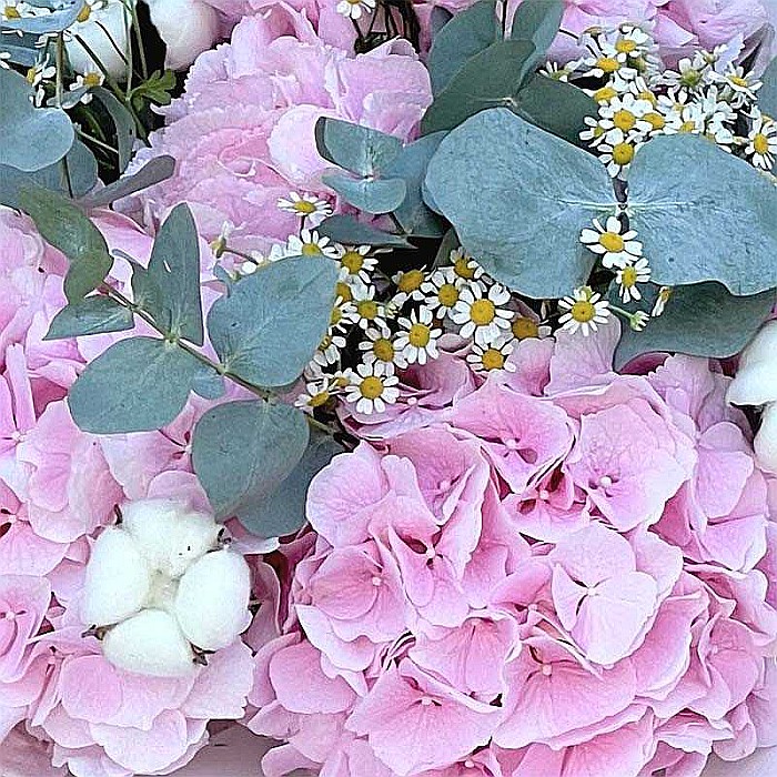 Buchet cu Hortensii Roz [2]