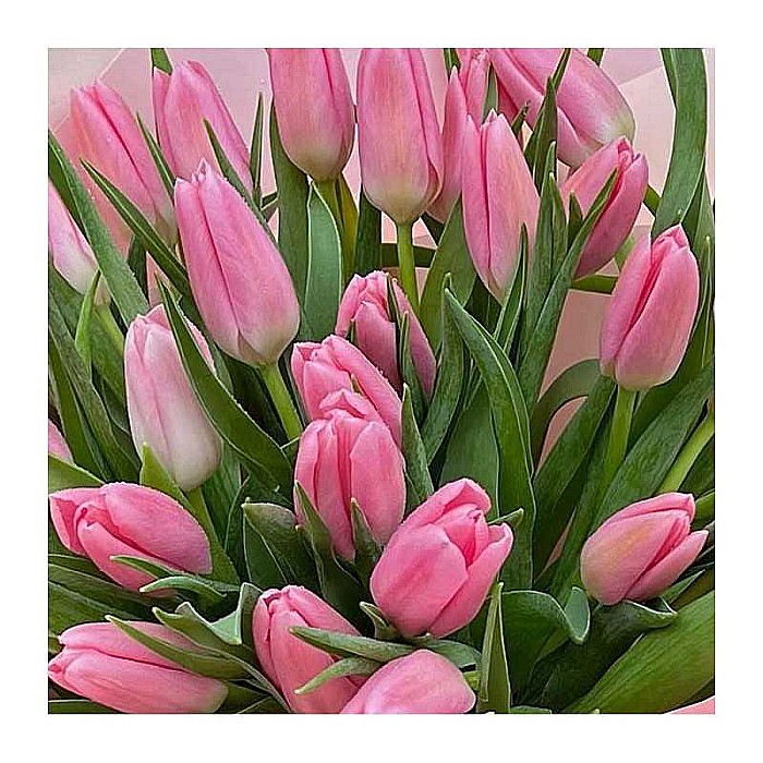 Buchet de primavara cu Lalele Roz [2]