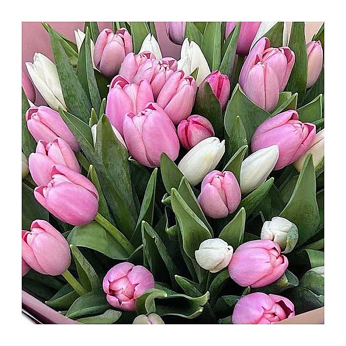 Buchet cu Lalele Roz si Albe [2]