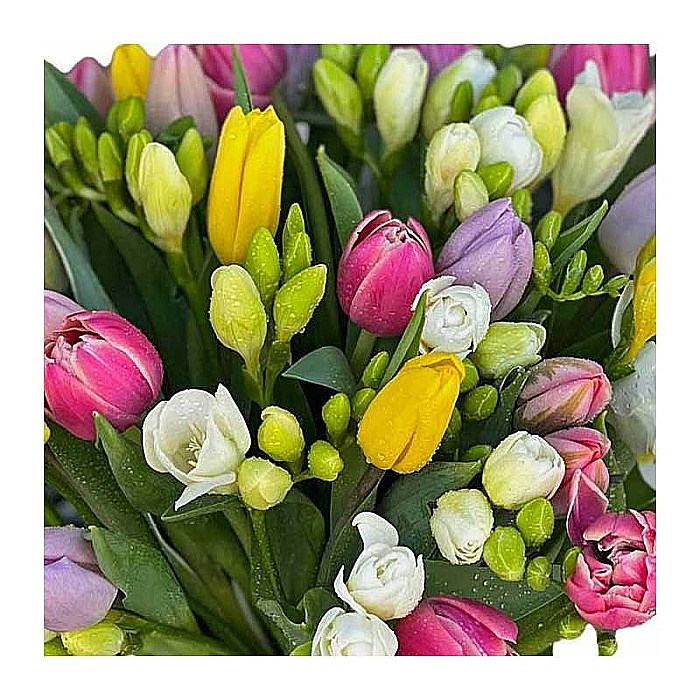 Buchet cu Lalele si Frezii [2]