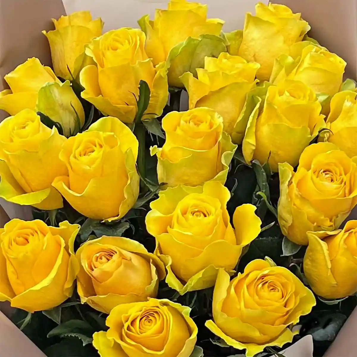 Buchet cu Trandafiri Galbeni – trandafiri galbeni, Fleurange Baia Mare [2]
