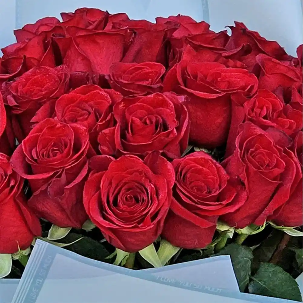 Buchet 33 Trandafiri Rosii – rosu intens, Fleurange Baia Mare [2]