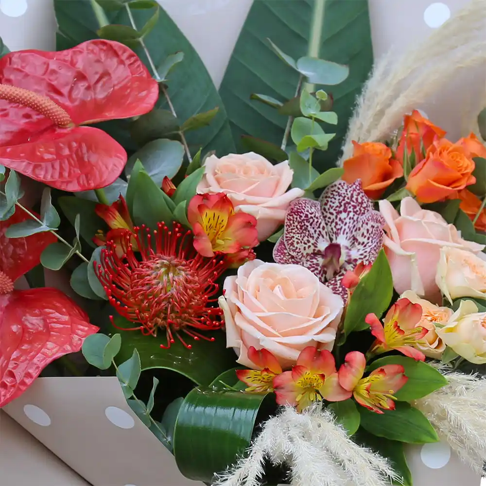 Buchet Flawless – vanda anthurium leucospermum pampas aspidistra, Fleurange Baia Mare [2]