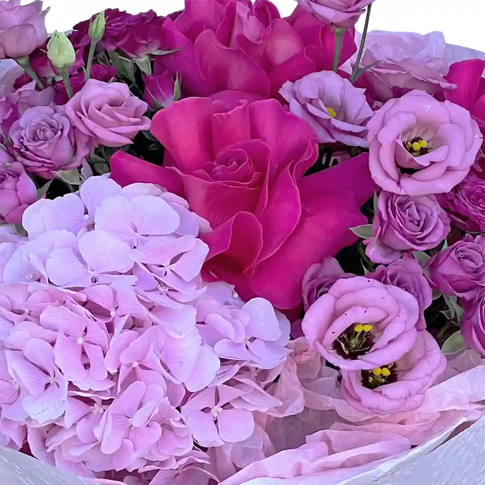 Buchet Fucsia - trandafiri Pink Floyd si hortensie, Fleurange Baia Mare [2]
