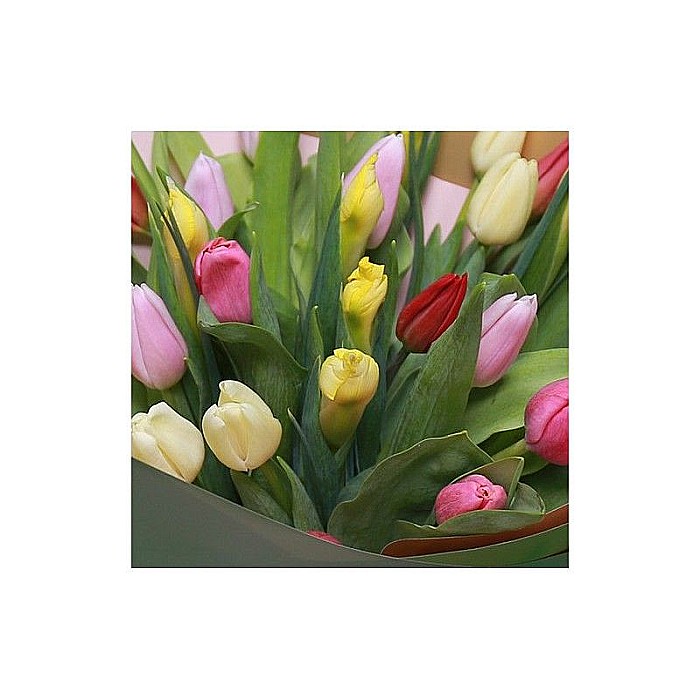 Buchet de lalele si irisi [2]