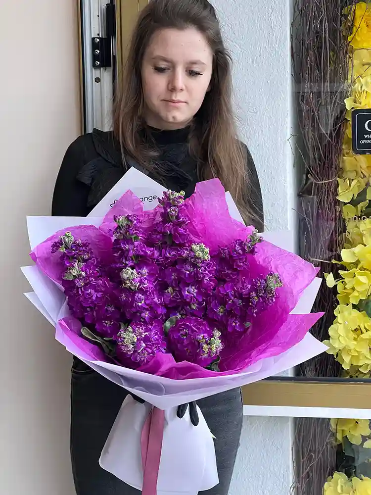 Buchet Lilas – Matiole Mov Parfumate, Fleurange Baia Mare [2]