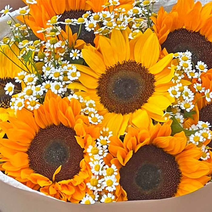 Buchet 7 Floarea Soarelui [2]