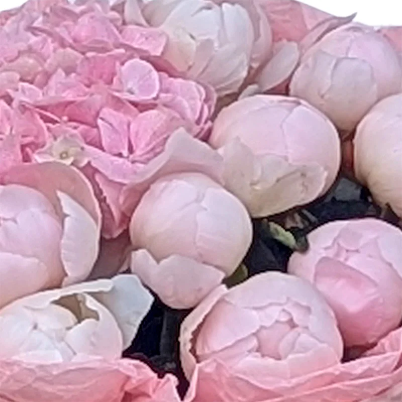 Buchet Sorbet – Bujori Roz și Hortensia, Baia Mare [2]