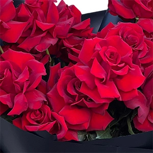 Buchet Trandafiri Flexați – Roșii cu Petale Deschise Manual, Fleurange Baia Mare [2]