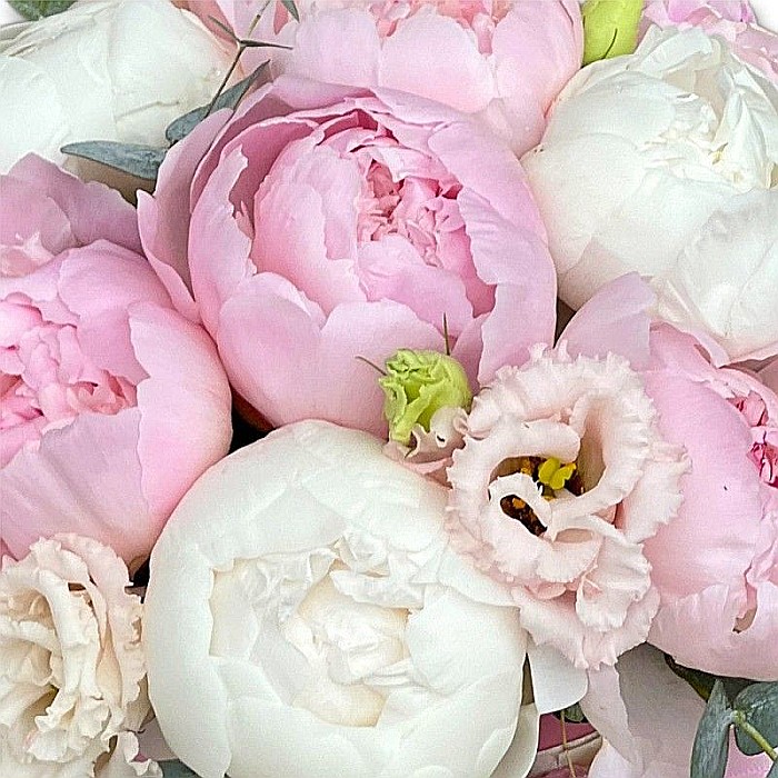 Aranjament floral cu bujori roz [2]