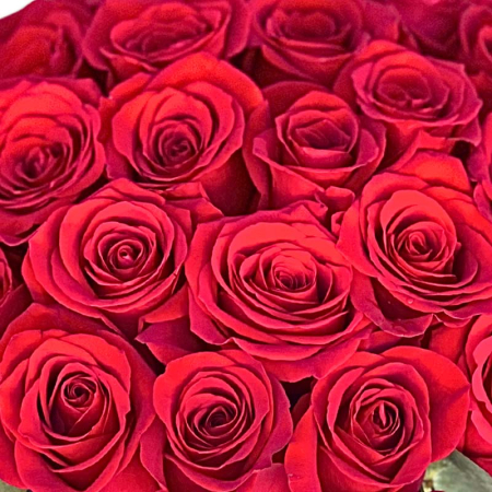 Aranjament 29 trandafiri rosii Cutie Catifea Fleurange fundita felicitare florarie Baia Mare [1]