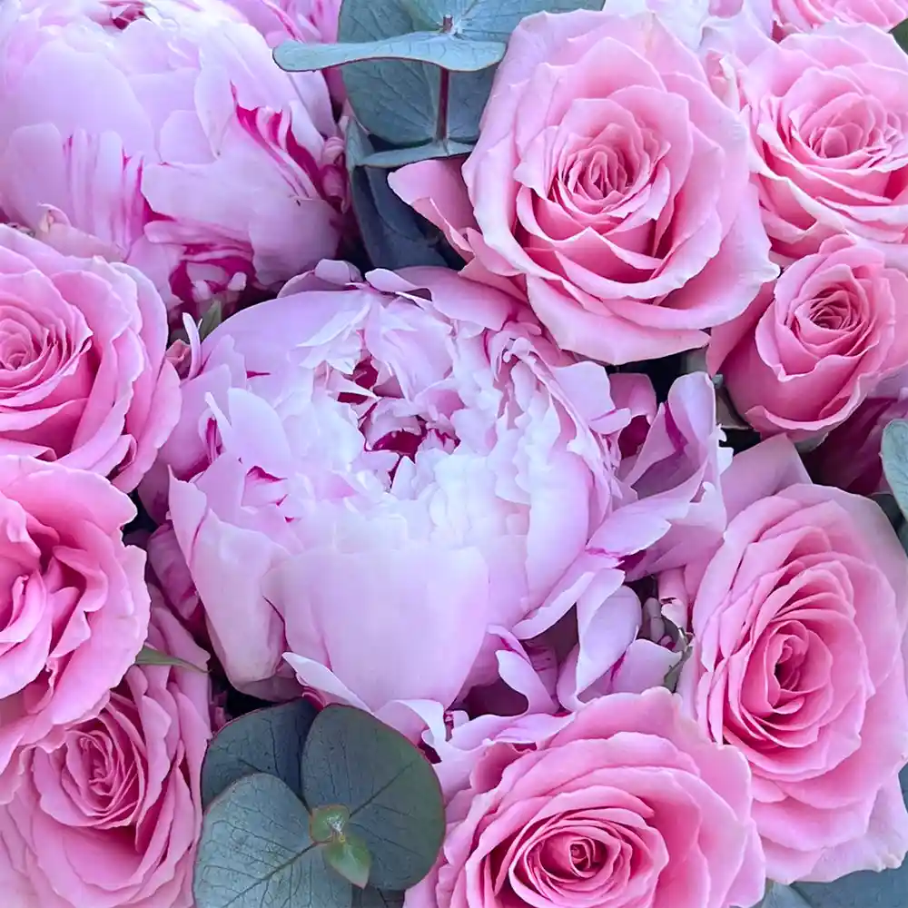 Aranjament Bujori Dulce – Bujori Roz și Mini-Rosa în Cutie Catifea, Fleurange Baia Mare [1]