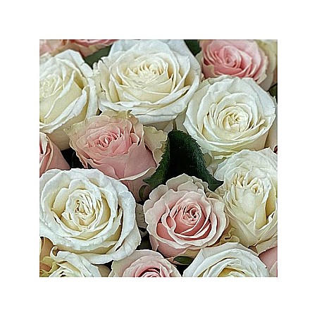 Aranjament floral cu 40 trandafiri roz și albi în cutie rotundă – Fleurange [1]