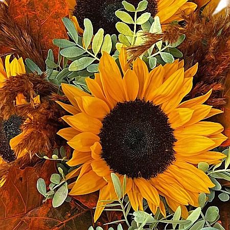 Aranjament cu floarea-soarelui în cutie catifea – Fleurange [1]