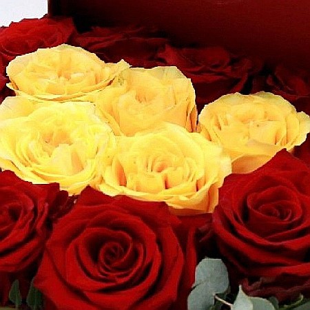 Aranjament cu Trandafiri I'm Falling For You [1]